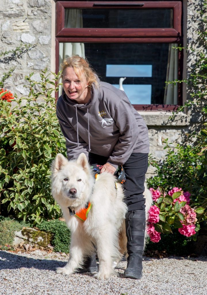 Natural Canine Coaching